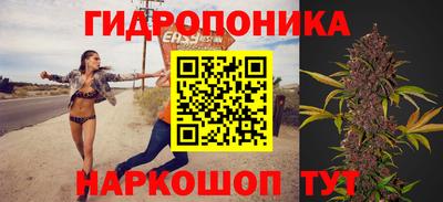 стафф Кинель