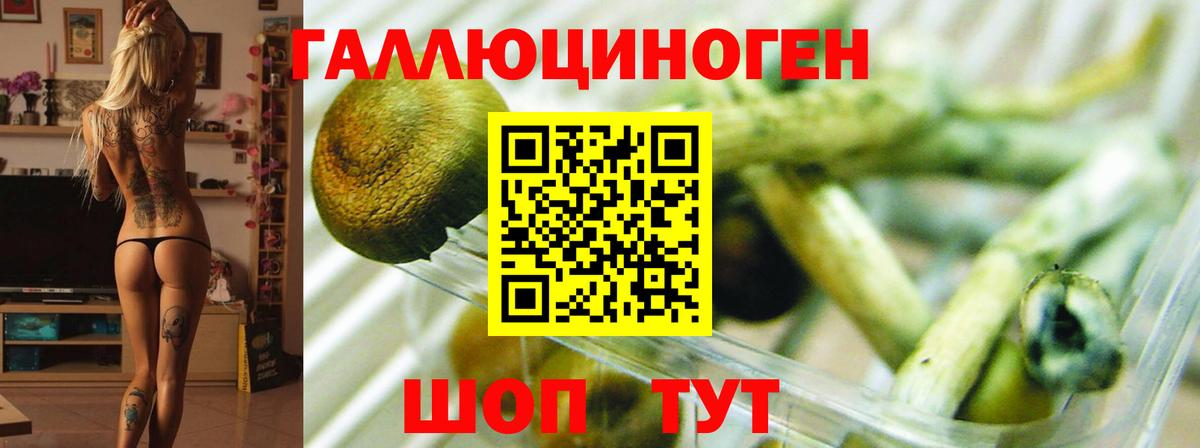 Псилоцибиновые грибы GOLDEN TEACHER  Псилоцибиновые грибы ЛСД  Кудымкар  Вход с VPN 